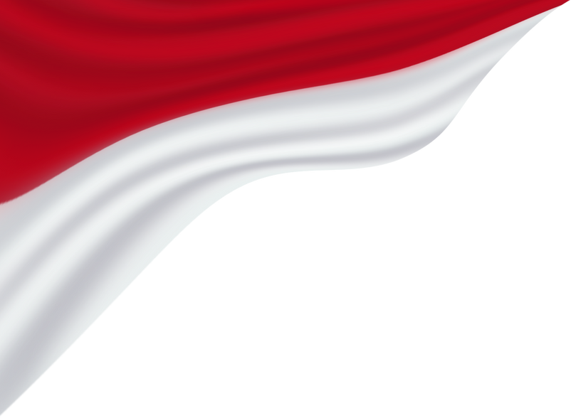 Indonesia flag element